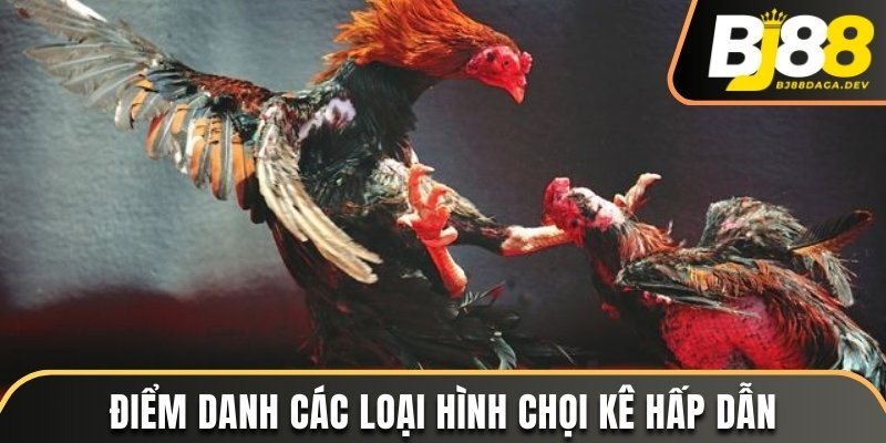 Sảnh WS168 - Sân Chơi Chọi Kê Được Yêu Thích Nhất Năm 2025 4 Điểm danh các loại hình chọi kê hấp dẫn