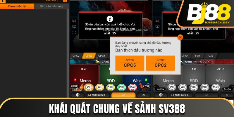 Sảnh SV388 - Chinh Phục Các Trận Đấu Gà Đỉnh Cao Tại BJ88 2 Khái quát chung về sảnh SV388