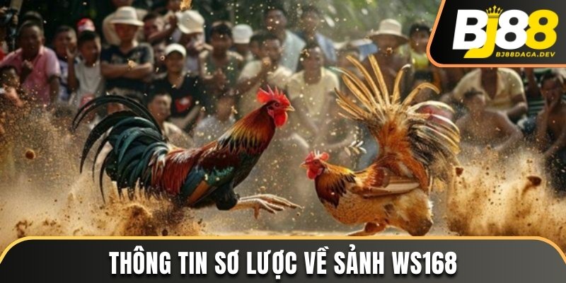 Sảnh WS168 - Sân Chơi Chọi Kê Được Yêu Thích Nhất Năm 2025 2 Thông tin sơ lược về sảnh WS168