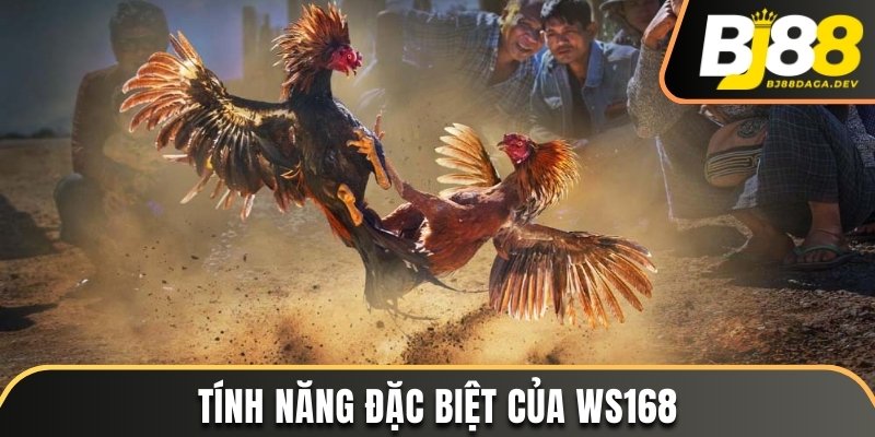 Sảnh WS168 - Sân Chơi Chọi Kê Được Yêu Thích Nhất Năm 2025 3 Tính năng đặc biệt của Ws168
